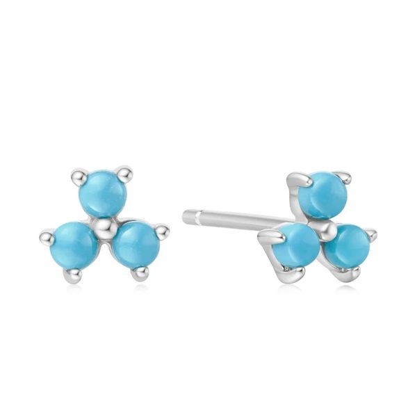 Silver Earrings Banks Jewelers Burnsville, NC