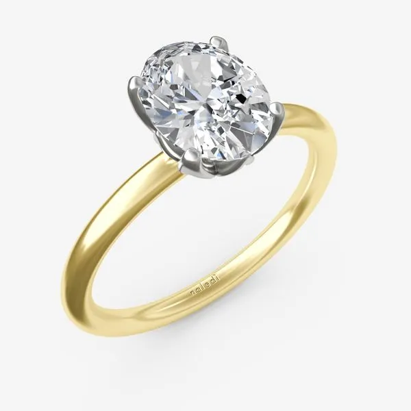 NALEDI  