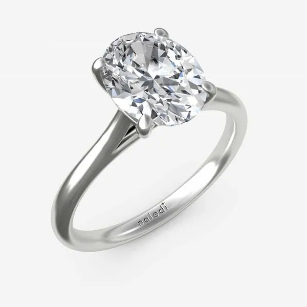 NALEDI  