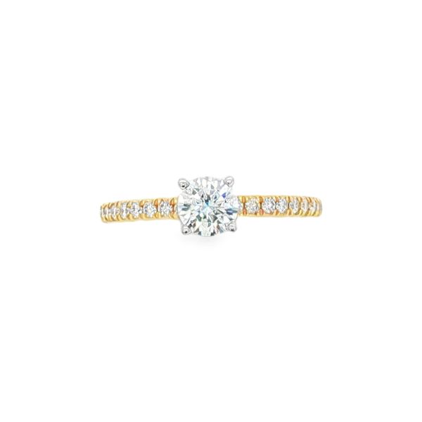 Split Prong Diamond Semi-Mount Engagement Ring | 14KT Yellow Gold | Barnes Jewelers, Goldsboro NC Barnes Jewelers Goldsboro, NC