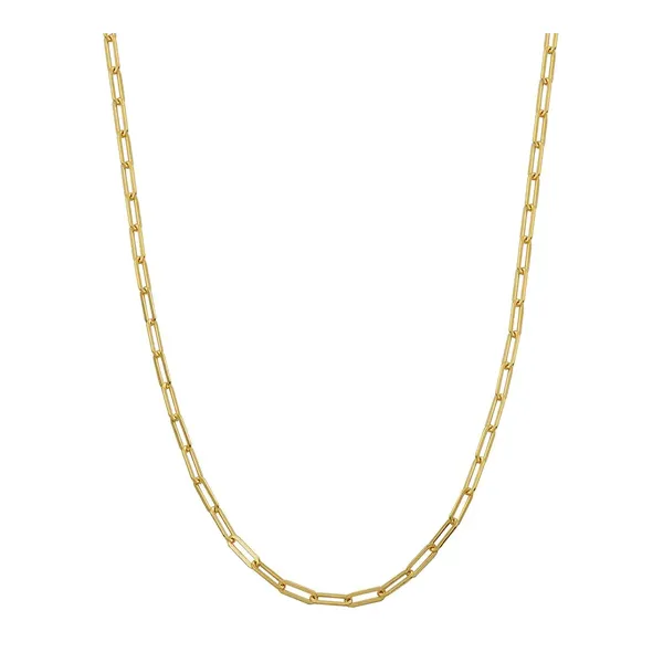 Charles Garnier Paperclip Chain Necklace | 18KT Gold Plated Sterling Silver | Barnes Jewelers Goldsboro NC Barnes Jewelers Goldsboro, NC