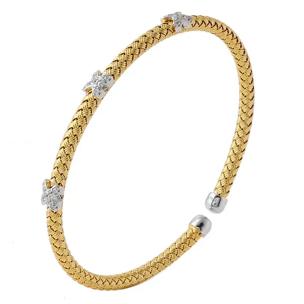 CHARLES GARNIER  