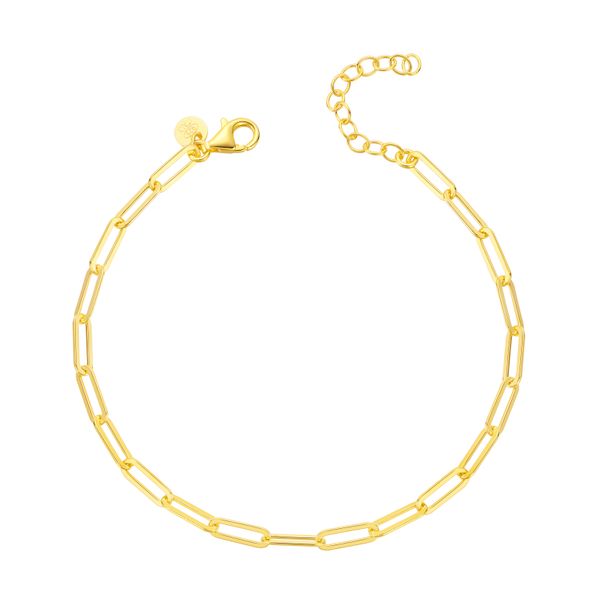 Charles Garnier Paperclip Chain Bracelet | 18KT Gold Plated Sterling Silver | Barnes Jewelers Goldsboro NC Barnes Jewelers Goldsboro, NC