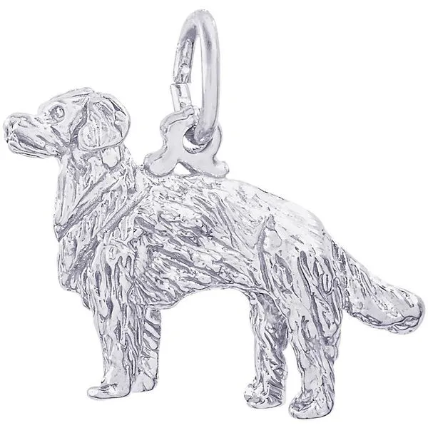 Rhodium Sterling Silver  Golden Retriever Dog 3-D  Charm/Pendant.  H=0.59
