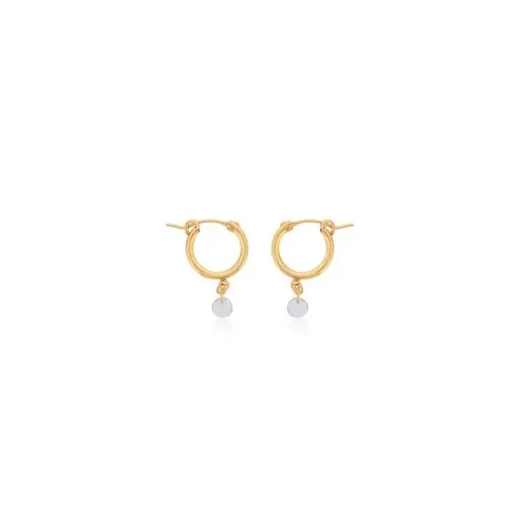 DEE BERKLEY  White Topaz Hoop Earrings, Gold Filled, Yellow Tone, Faceted White Topaz Bead  DBJ-EAR-3080/WT Barnes Jewelers Goldsboro, NC