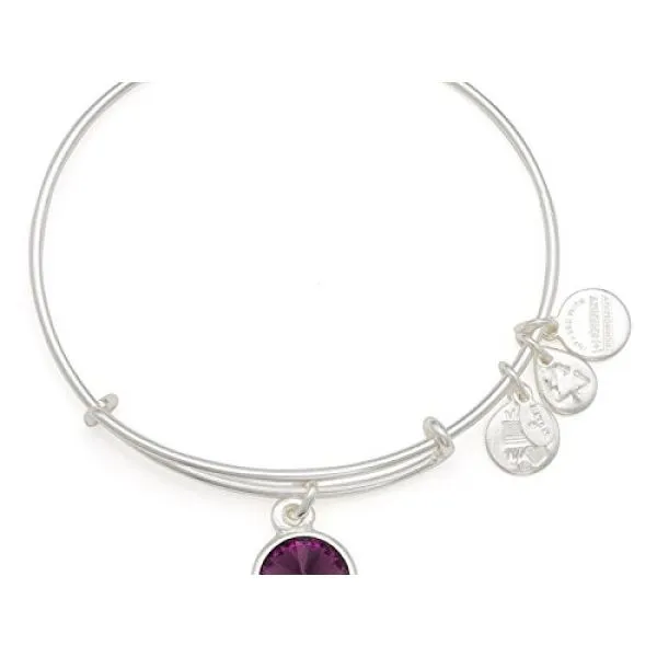 Alex & Ani Bracelets Barnes Jewelers Goldsboro, NC