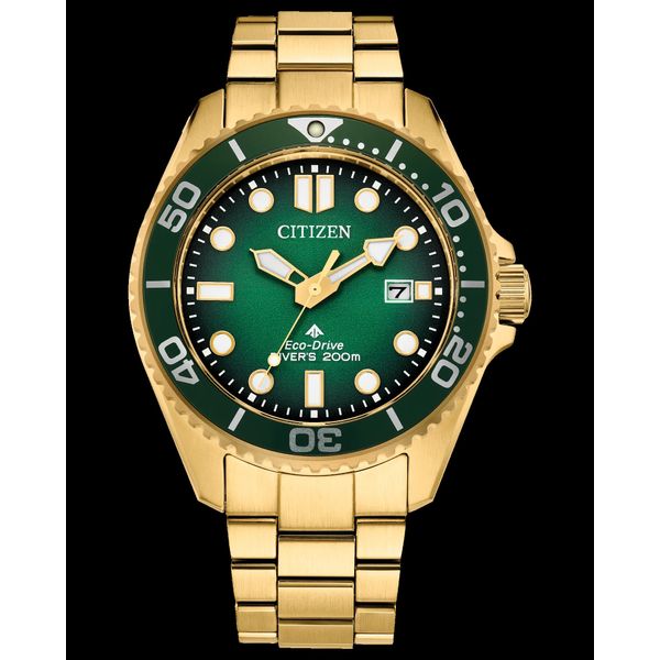 Promaster Dive Barnett Jewelers Jacksonville, FL