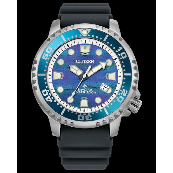 Promaster Dive Barnett Jewelers Jacksonville, FL