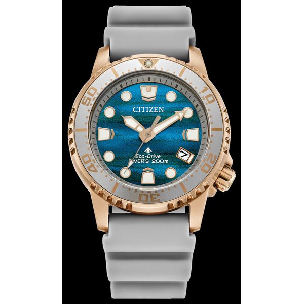 Promaster Dive Barnett Jewelers Jacksonville, FL