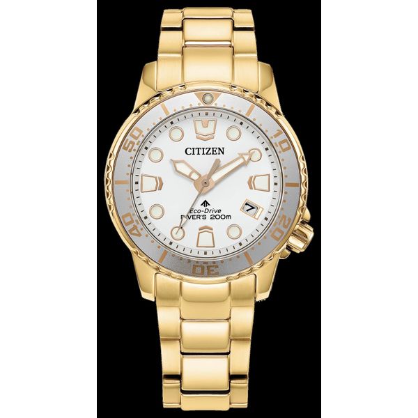 Promaster Dive Barnett Jewelers Jacksonville, FL