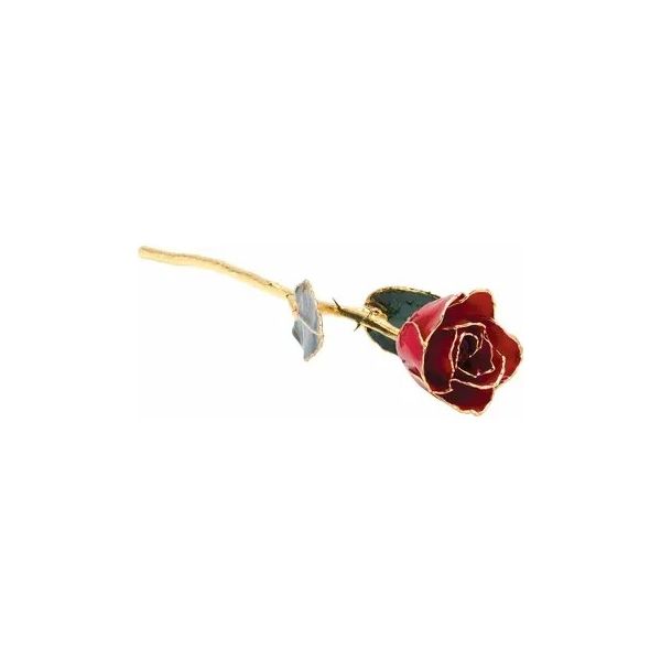 24K Gold Plated Red Rose Barnett Jewelers Jacksonville, FL