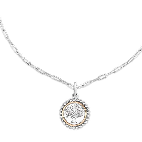 Silver Necklace Barron's Fine Jewelry Snellville, GA