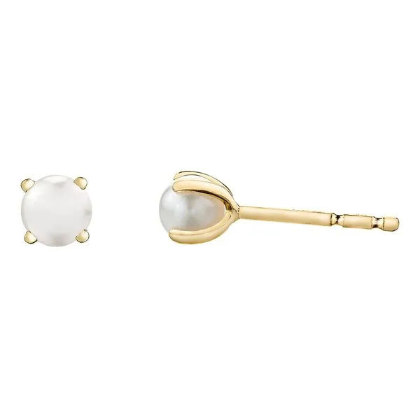 10K Yellow Gold Cultured Pearl Earrings Barthau Jewellers Stouffville, ON