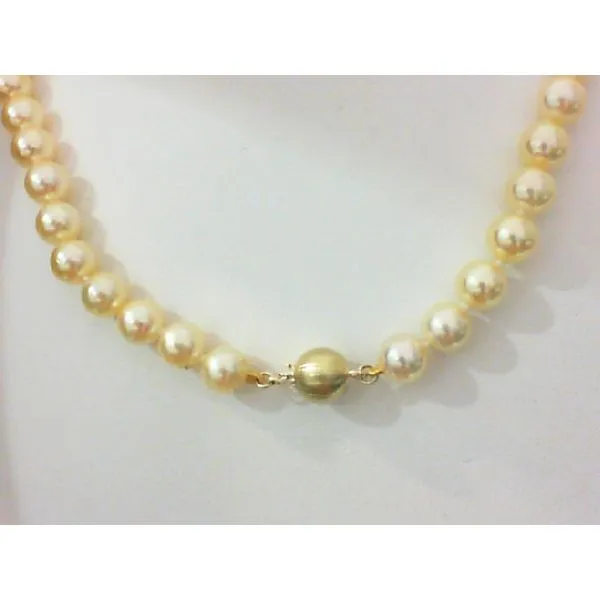 14K Yellow Gold 18~ 6-6.5 mm Natural Golden Akoya Cultured Pearl Strand Image 2 Barthau Jewellers Stouffville, ON