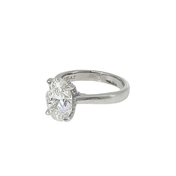 Oval Solitaire Image 2 Baxter's Fine Jewelry Warwick, RI
