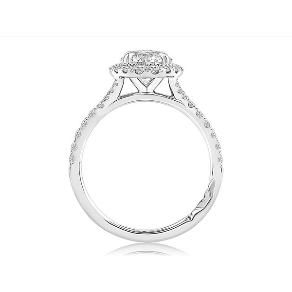 Platinum Engagement Ring Image 3 Baxter's Fine Jewelry Warwick, RI