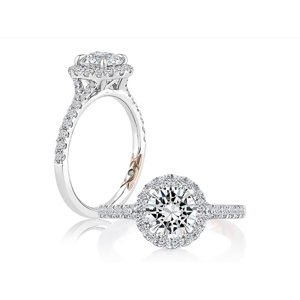 Platinum Engagement Ring Baxter's Fine Jewelry Warwick, RI