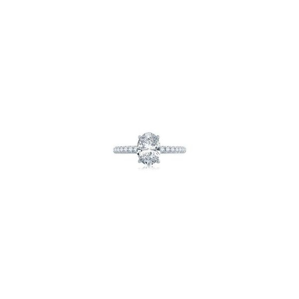 French Pavé Oval Solitaire Image 2 Baxter's Fine Jewelry Warwick, RI