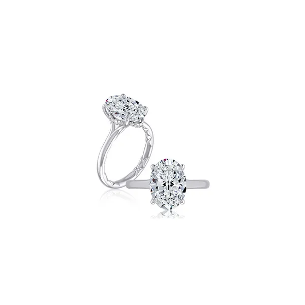 Jaffe Platinum Engagement Ring Baxter's Fine Jewelry Warwick, RI