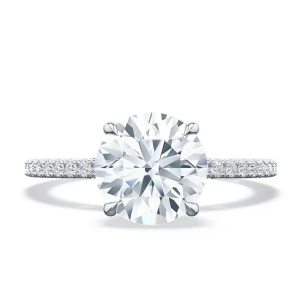 Platinum Round Solitaire Engagement Ring thumb image 1