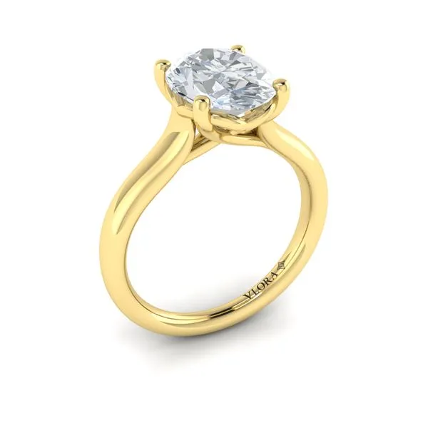 Classic Cathedral Solitaire Engagement Ring Baxter's Fine Jewelry Warwick, RI