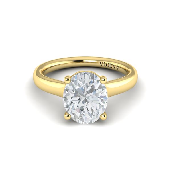 Classic Cathedral Solitaire Engagement Ring Image 2 Baxter's Fine Jewelry Warwick, RI