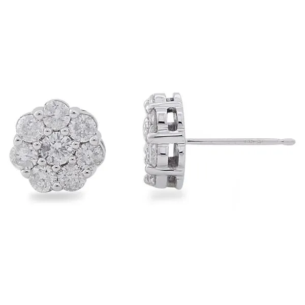 Earrings Baxter's Fine Jewelry Warwick, RI