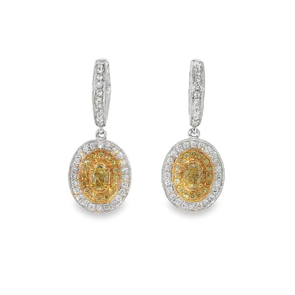 Double Halo Drop Earrings Baxter's Fine Jewelry Warwick, RI