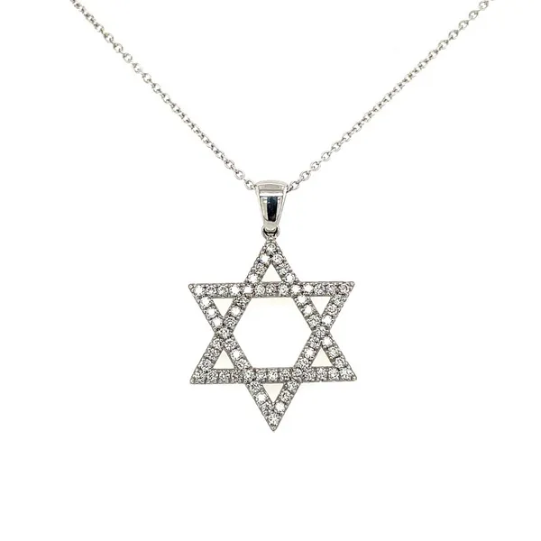 14k White Gold and Diamond Star of David Pendant