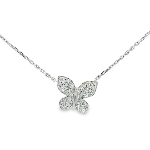 14k White Gold Butterfly Necklace Baxter's Fine Jewelry Warwick, RI