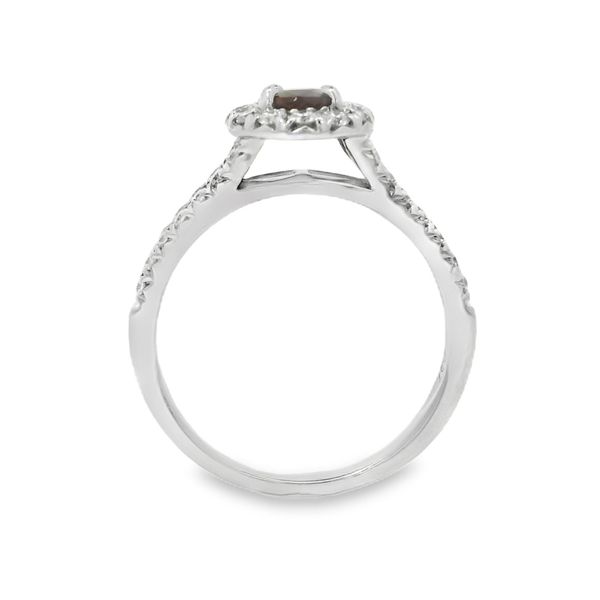 Ruby and Diamond Halo Ring Image 4 Baxter's Fine Jewelry Warwick, RI