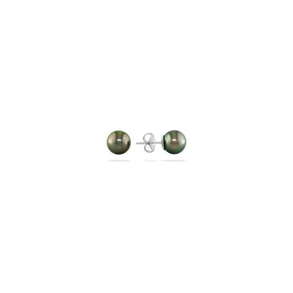 Tahitian Pearl Studs Baxter's Fine Jewelry Warwick, RI