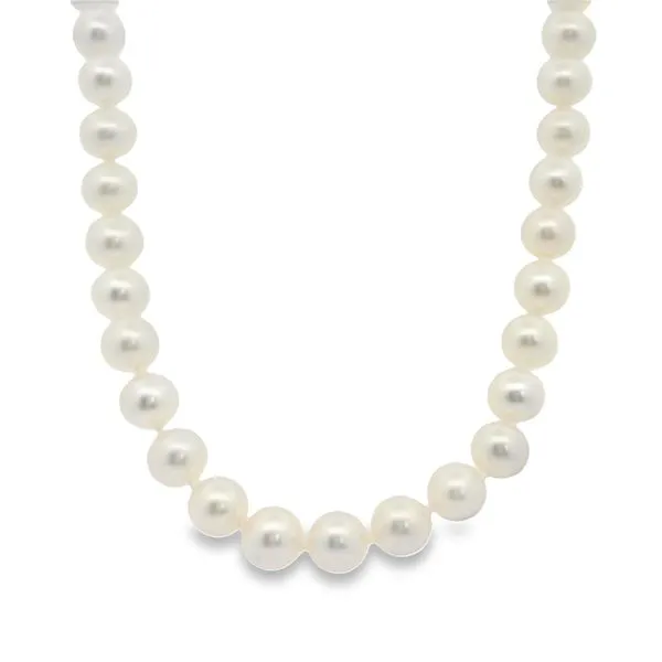 6-6.5mm Pearl Necklace Baxter's Fine Jewelry Warwick, RI