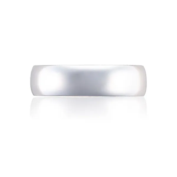 Classic Two-Tone Rounded in High Polish Finish Wedding Band