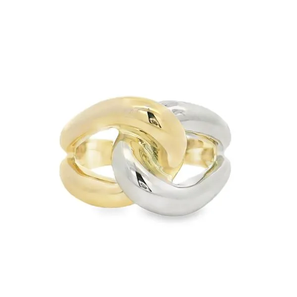 Two Tone Interlocking Ring Baxter's Fine Jewelry Warwick, RI