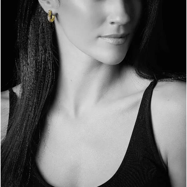 Diamond Accent Hoop Earrings