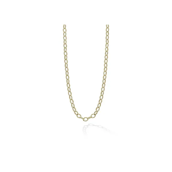 18K Gold Petite Link Necklace similar item image