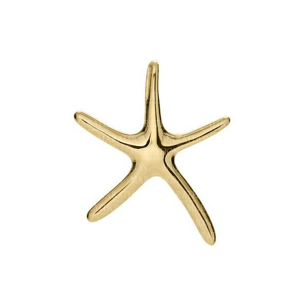 14k Gold Starfish Pendant with Rope Chain Baxter's Fine Jewelry Warwick, RI