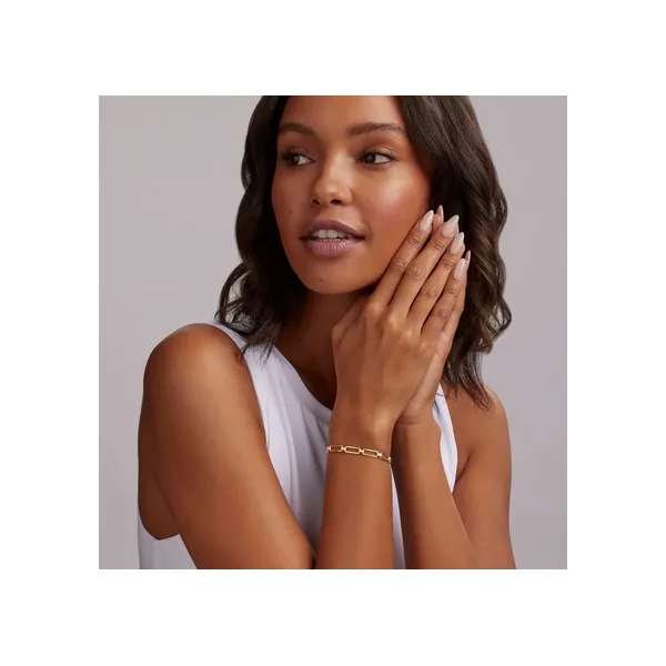 18K Gold Petite Link Bracelet
