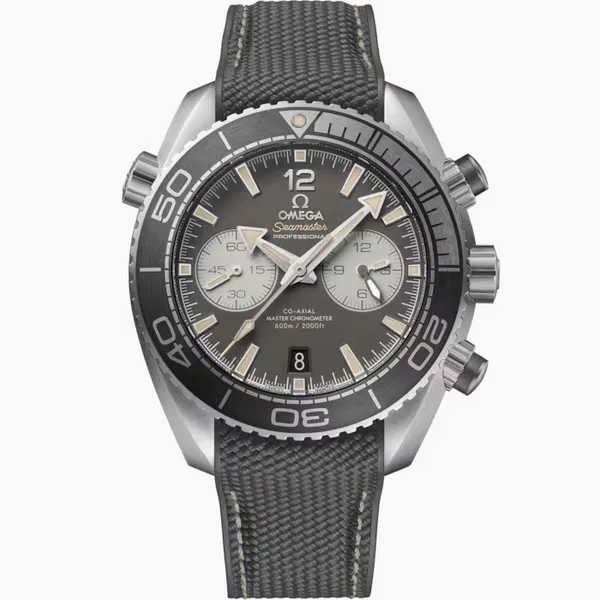 Seamaster Planet Ocean 600M similar item image