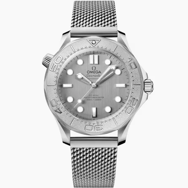 Seamaster Diver 300M Baxter's Fine Jewelry Warwick, RI