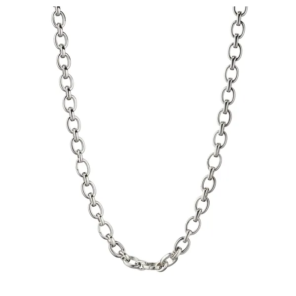 \Audrey\ Link Charm Necklace in Sterling Silver