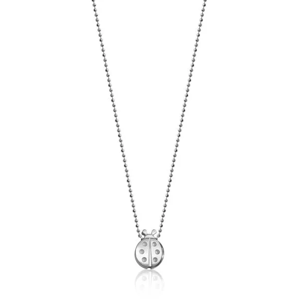 Sterling Silver Luck Ladybug Necklace Baxter's Fine Jewelry Warwick, RI