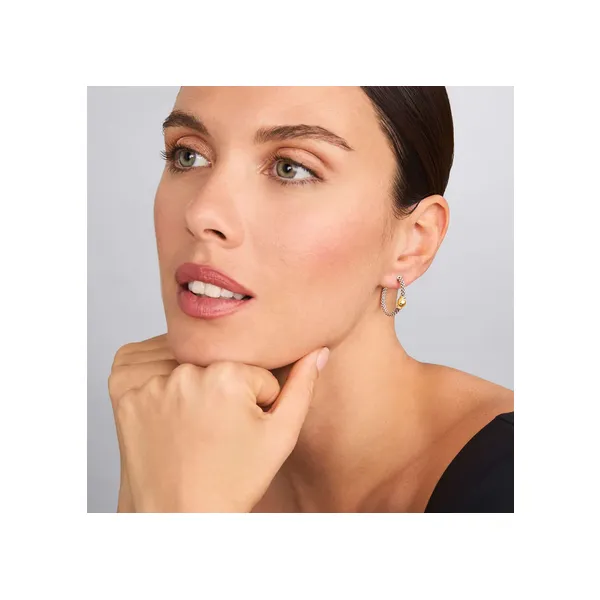 Two-Tone Station Hoop Earrings Image 2 Baxter's Fine Jewelry Warwick, RI