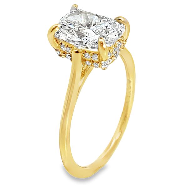 Engagement Ring Bay Area Diamond Company Green Bay, WI