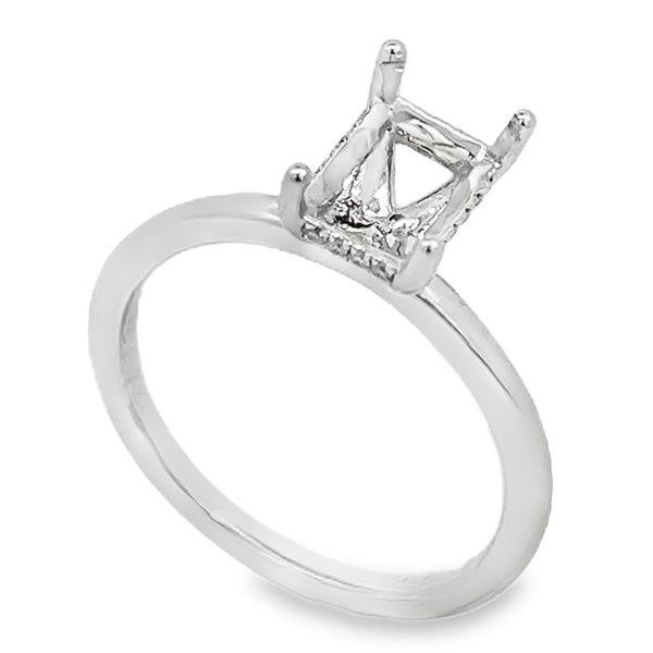 Engagement Ring Bay Area Diamond Company Green Bay, WI