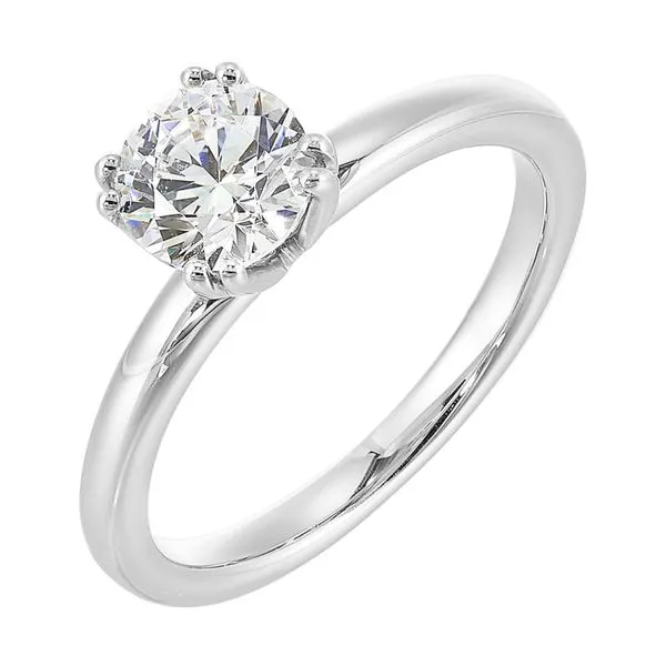 'Perfect Love' 14 Karat White Gold Solitaire Engagement Ring Bay Area Diamond Company Green Bay, WI