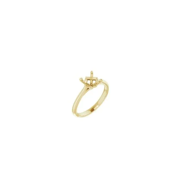 Engagement Ring Bay Area Diamond Company Green Bay, WI