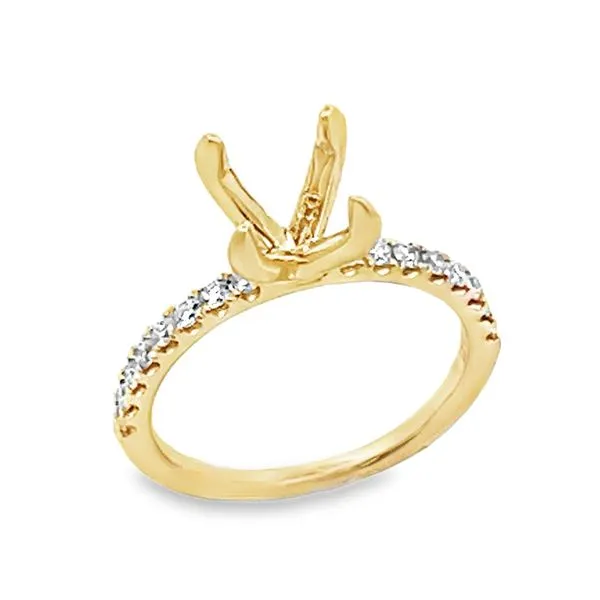Engagement Ring Bay Area Diamond Company Green Bay, WI
