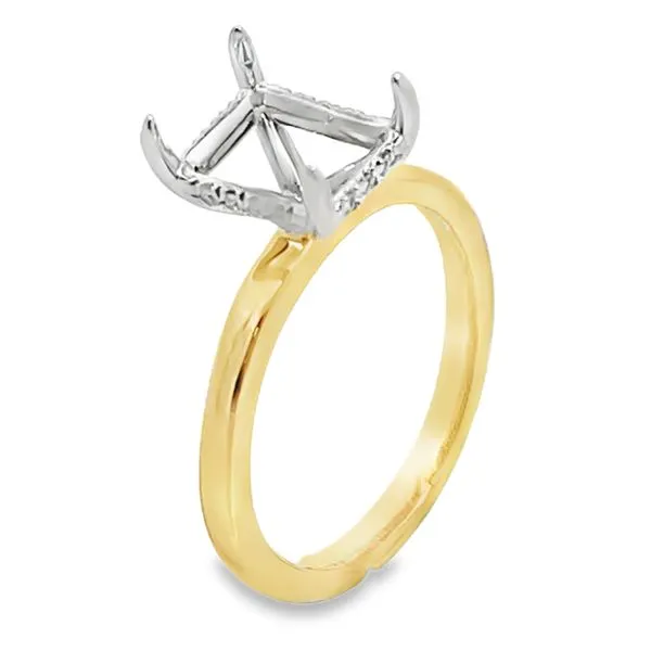 Engagement Ring Bay Area Diamond Company Green Bay, WI